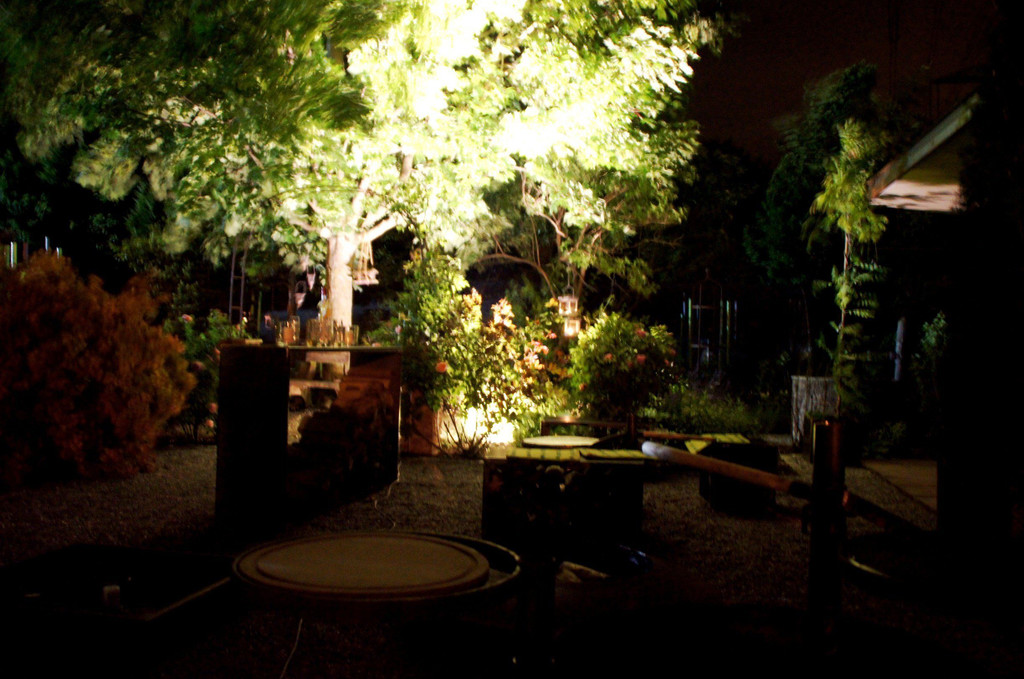 DSC08382.JPG