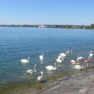 Schw__ne Seewiese 2013 _19__jpg-1371207689
