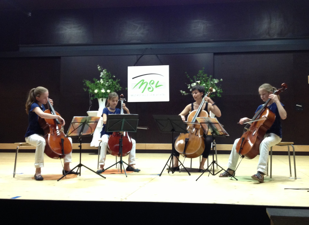 MSL Wettbewerb Cello Mai 2013_jpg-1371208768
