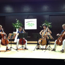 Symbolfotos Musikschule Leiblachtal