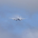 IBD0393-20130614.jpg