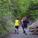 ARN_3173_b_jpg-1371216127
