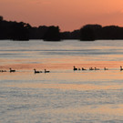 ABD0044-20130610.jpg
