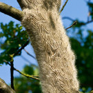 ABD0003-20130611.jpg