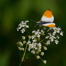 ABD0014-20130612.jpg