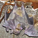 ABD0044-20130612.jpg