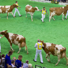 ABD0062-20130613.jpg