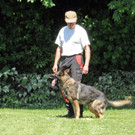Hundesport 08-06-2013 13_jpg-1371224087