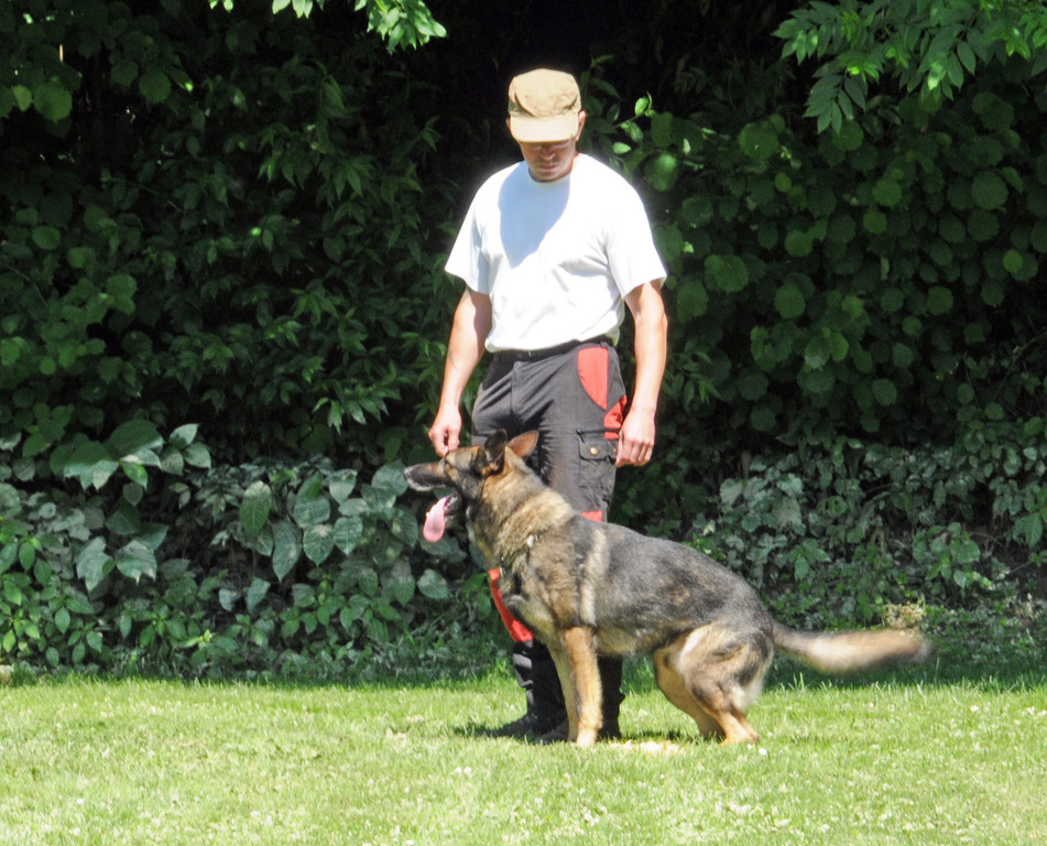 Hundesport 08-06-2013 13_jpg-1371224087