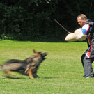 Hundesport 08-06-2013 23_jpg-1371224097