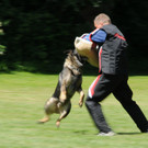 Hundesport 08-06-2013 29_jpg-1371224102