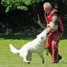 Hundesport 08-06-2013 45_jpg-1371224122