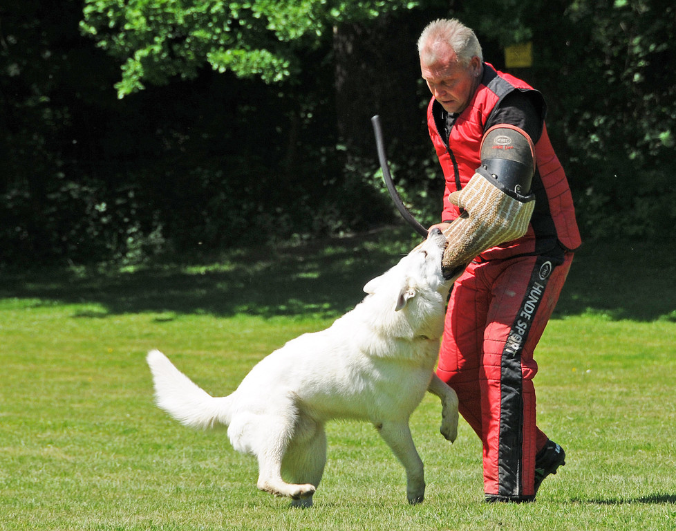 Hundesport 08-06-2013 45_jpg-1371224122