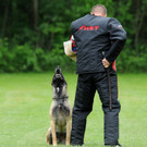 Hunde 09-06-13 4_jpg-1371224127