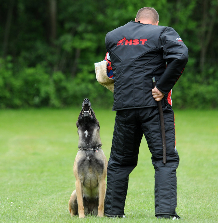 Hunde 09-06-13 4_jpg-1371224127