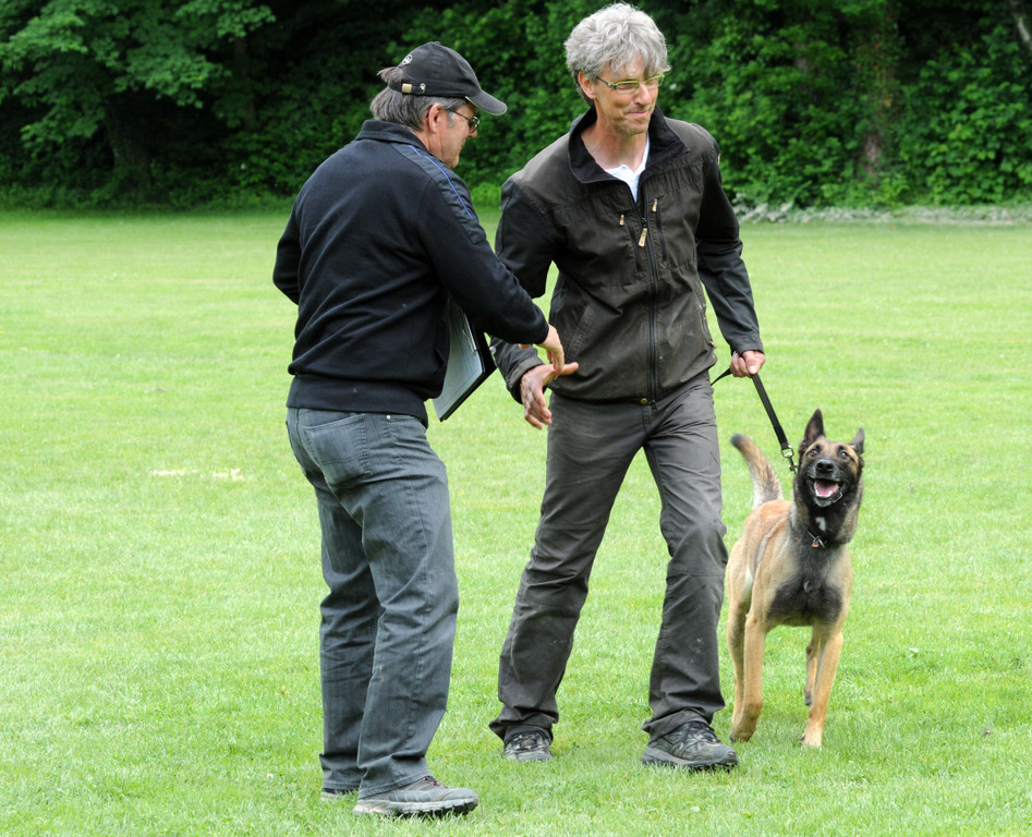 Hunde 09-06-13 6_jpg-1371224135