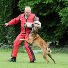 Hunde 09-06-13 9_jpg-1371224143