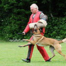 Hunde 09-06-13 11_jpg-1371224151