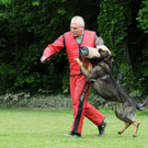 Hunde 09-06-13 23_jpg-1371224181