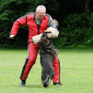 Hunde 09-06-13 30_jpg-1371224188