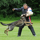 Hunde 09-06-13 38_jpg-1371224196