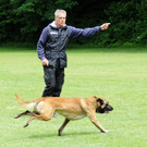 Hunde 09-06-13 43_jpg-1371224221