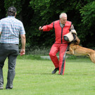 Hunde 09-06-13 44_jpg-1371224230
