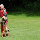 Hunde 09-06-13 53_jpg-1371224247
