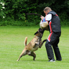 Hunde 09-06-13 60_jpg-1371224254