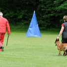 Hunde 09-06-13 67_jpg-1371224263