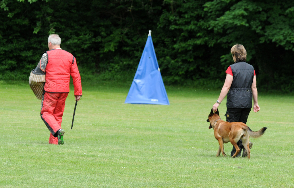 Hunde 09-06-13 67_jpg-1371224263
