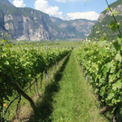 IMG_8852_jpg-1371230717