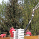 DSCN7644_JPG-1371247958