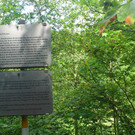 Lehrwanderweg Braz