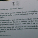 braz 165.JPG