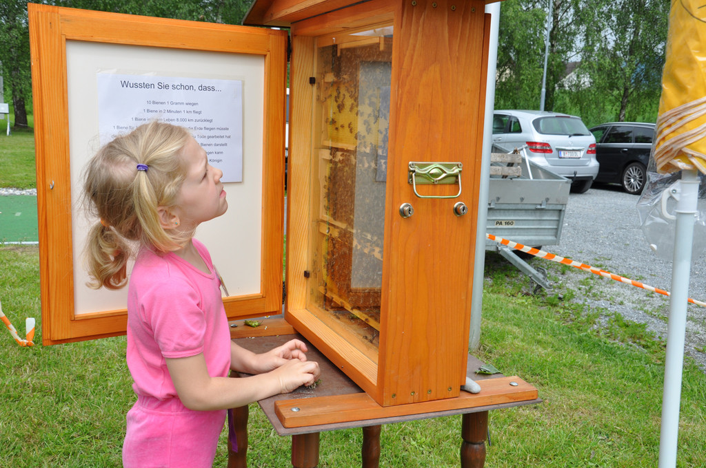 bienen_jpg-1371273142