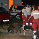 Suchaktion Wiener Neustadt nacht _5_.jpg