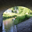 Suchaktion Wiener Neustadt Tag _10_.jpg