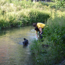 Suchaktion Wiener Neustadt Tag _11_.jpg