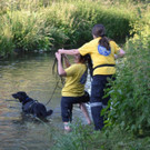 Suchaktion Wiener Neustadt Tag _12_.jpg