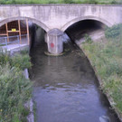 Suchaktion Wiener Neustadt Tag _13_.jpg