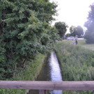 Suchaktion Wiener Neustadt Tag _14_.jpg