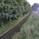 Suchaktion Wiener Neustadt Tag _15_.jpg