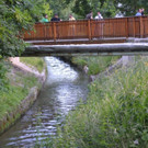 Suchaktion Wiener Neustadt Tag _17_.jpg