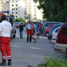 Suchaktion Wiener Neustadt Tag _3_.jpg