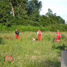 Suchaktion Wiener Neustadt Tag _4_.jpg