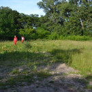 Suchaktion Wiener Neustadt Tag _5_.jpg