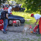 Suchaktion Wiener Neustadt Tag _6_.jpg