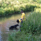 Suchaktion Wiener Neustadt Tag _9_.jpg