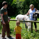 Viele Fotos der Kindervilla